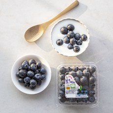 무농약 인증 영동농협 블루베리, 100g, 1개