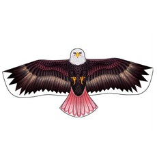 YN 創意風箏鷹風箏放飛傳統玩具套組 YN01, 1套