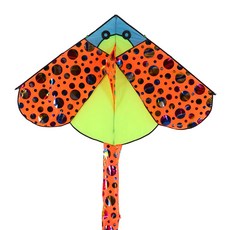 YN 創意風箏 傳統風箏套組 橙色 SY75610, 1套