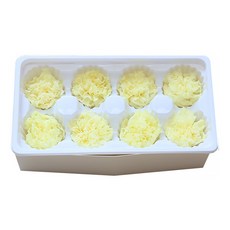 디엠코퍼레이션 조화 알럽홈 DIY 카네이션 8p, 레몬