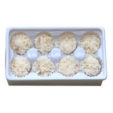 디엠코퍼레이션 조화 알럽홈 DIY 카네이션 8p, 화이트