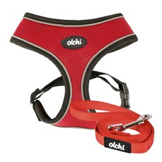 올치 야간 빛 반사 콤비 하네스 A 강아지 산책 목줄 리드 세트 L, RED, 1세트