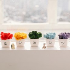 ASPASIA 彩虹加油苔蘚迷你花盆 5入組 拍拍加油, 1套