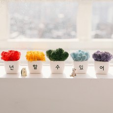 ASPASIA 彩虹應援苔蘚迷你花盆 5入 你可以的, 1套