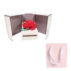 Hallmark 香皂花母親節康乃馨禮盒+購物袋, 紅色的