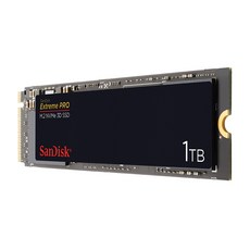 샌디스크 Extreme PRO M.2 NVMe 3D SSD, SDSSDXPM2-1T00-G25, 1TB