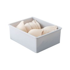 OLIVE@ 多格多用途內衣襪子收納盒 1格, 1個