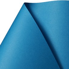 三元美術紙 40號藍色 120g 4開, 100張, 100個