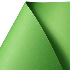 三元 彩色紙 26號淺綠色 120g 4開, 100張, 100個