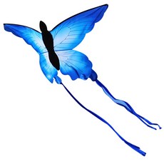 YN SY75629 創意風箏 放風箏套組 傳統遊戲, 1套