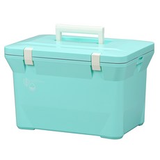 엔플라스틱 아쿠아 아이스박스, 민트, 15L
