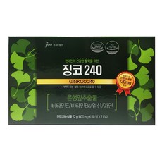JW중외제약 징코 240 영양제, 120정, 1개