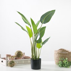 플라워마트 마쉬매리골드 조화나무 미니 극락조포트 78cm, 혼합 색상, 1개