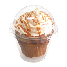 투고팩 아이스크림컵 270ml + 돔뚜껑 HTB-9, 1개입, 50세트