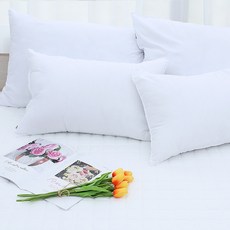 라몬떼 국내생산 폭신폭신 구름 베개솜 2p, 화이트