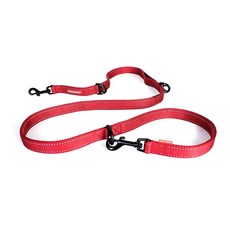 이지독 바리오 6 리드줄, RED, 1개