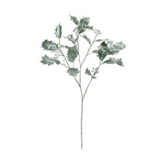 도쿄도 조화 그린실버홀리 FX001028-019, 혼합 색상, 1개