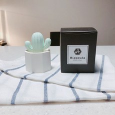 漂亮六角仙人掌石膏空氣清新劑綠色+網袋隨機出貨, 白色麝香