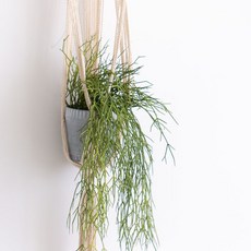 Artifarty假花Lipsalis懸掛植物絲綢花, 混色