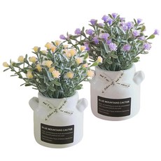 Maket Gamseong 人造滿天星迷你盆栽組, 隨機出貨, 2個