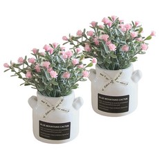 마켓감성 조화 안개꽃 미니화분 세트, 타입3, 2개