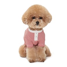 BENNYS 條紋亨利領 T 恤, 紅色