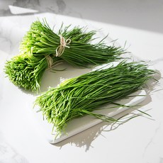 국내산 영양부추, 500g, 1봉