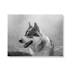 159 帆布畫框 A3W0502 011