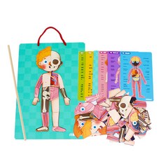 KesB 堅固的人體磁鐵拼圖, 1組, 84片