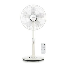 Daewoong 大熊製藥 遙控式電風扇, CZ-DC205R