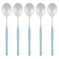 NICOTT Shine 顏色茶匙藍色, 5件