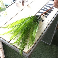 陶氏 F&G 和諧腎腎 2p, 綠色