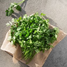 국내산 이탈리안 파슬리, 120g, 1팩