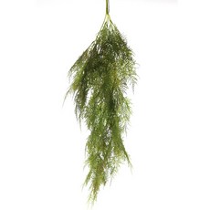 Dau E&J假裝劍麻藤, 綠色