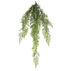 陶氏 F&G 和諧銀女士藤, 綠色