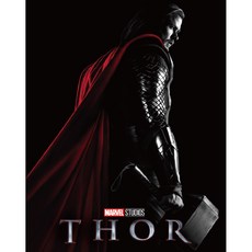 I LOVE PAINTING 復仇者聯盟角色DIY繪畫組 索爾款 40*50cm, 混色