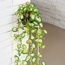 JOART 人造花籃藤蔓 Syngonium, 混色