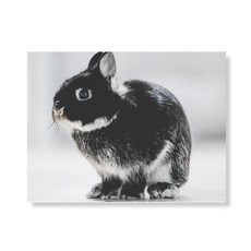 159 BW 帆布印刷畫框 A3W0502 122