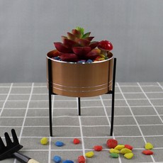 TP 홈인테리어 심플 원형 다육이 화병, 골드세트