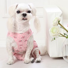 迷你玫瑰內搭連身衣, 粉紅色