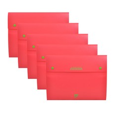 알파 도큐먼트인덱스화일 10포켓, 핑크, 5개입