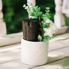 아스파시아 순백의 꽃 숯화분, 1개