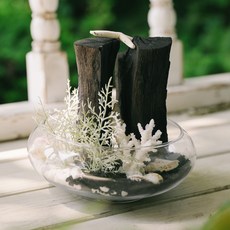 아스파시아 바다를 담은 숯화분, 1개