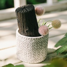 아스파시아 알사탕 가드 숯화분, 1개