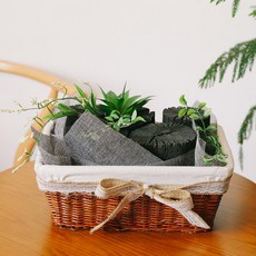 아스파시아 그린테라피 숯바구니, 1개