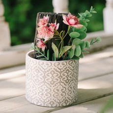 아스파시아 핑크빛 꽃 숯화분, 1개