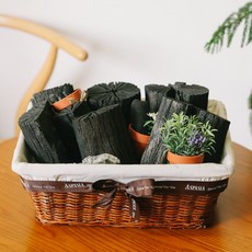 아스파시아 공기청정 수비대 미니화분 숯바구니, 1개
