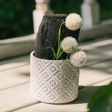 아스파시아 박하사탕 가드 숯화분, 1개