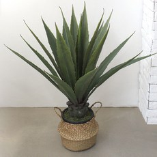 조아트 인조나무 선인장 유카 98cm, 혼합 색상, 1개