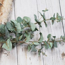 都市花園人造花復古桉樹枝 2入, 混色